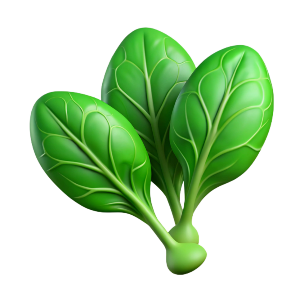 stunning rustic Spinach Leaves Fresh Green Isolated png