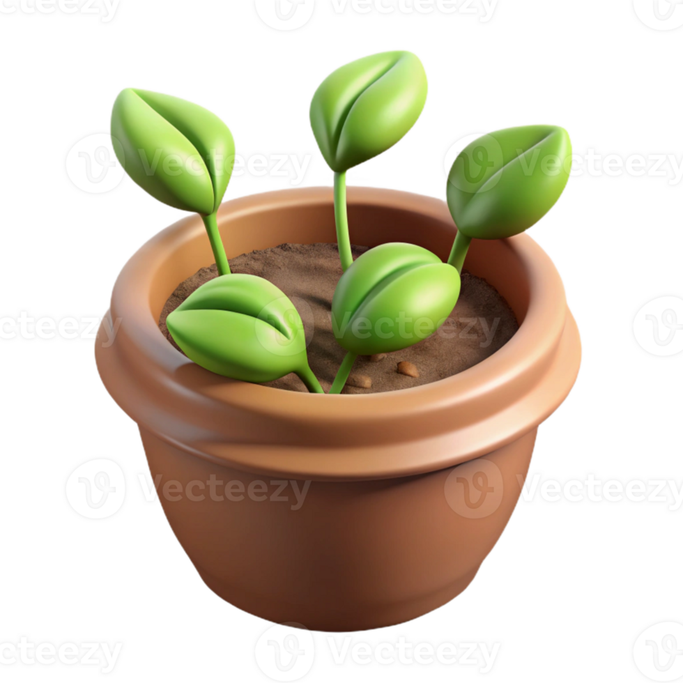 beautiful modern Sprouting Seeds in Pot Isolated Cutout authentic png