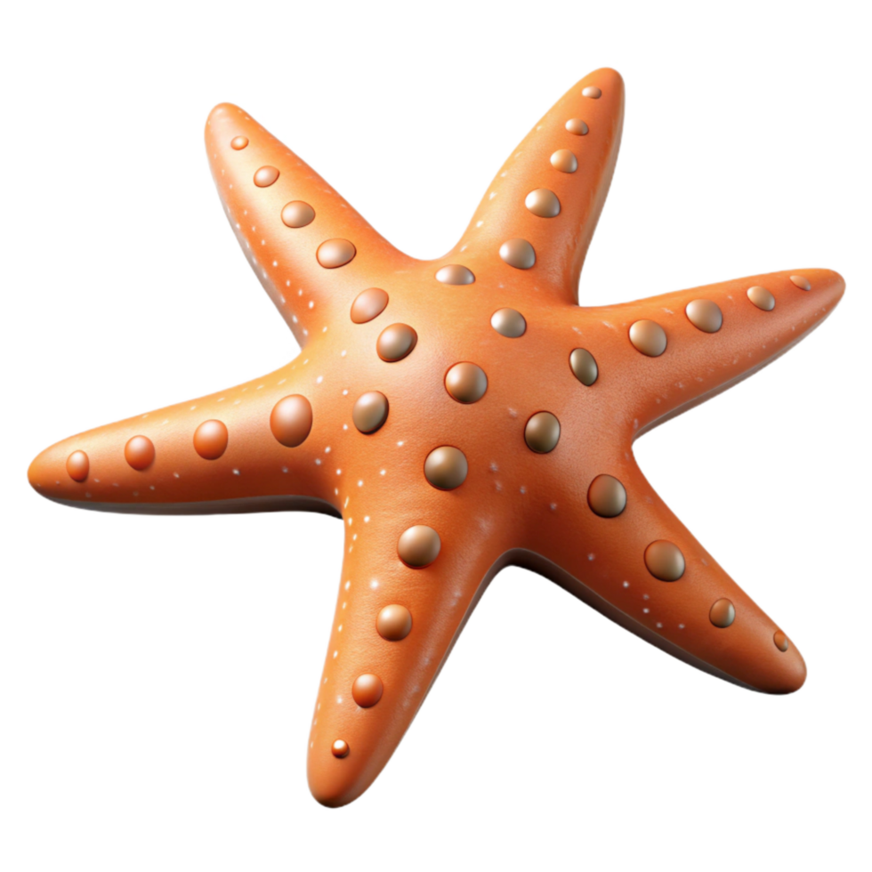 wonderful contemporary Starfish Arms Spread Isolated premium png
