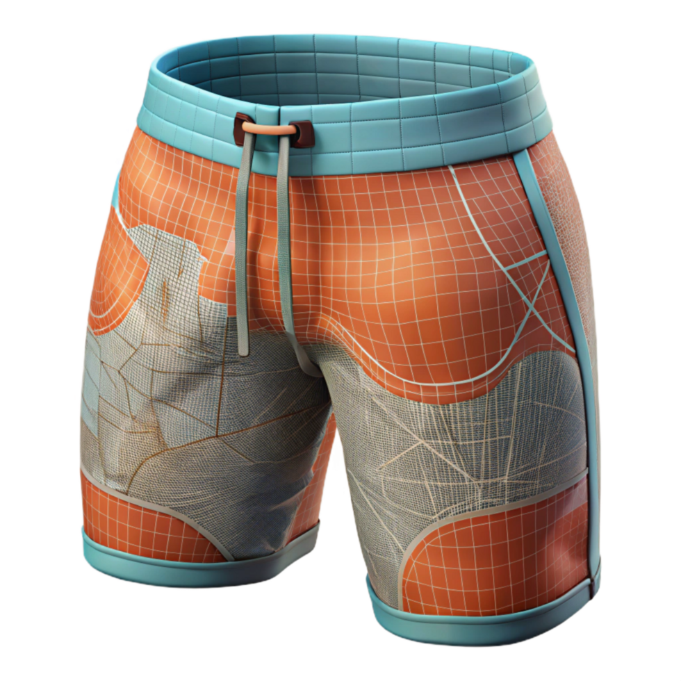 wonderful modern Swim Trunks Mesh Lining Inner View Cutout high quality png