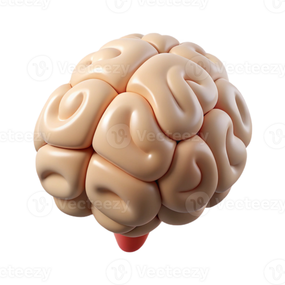 elegant rustic Thinking Brain Icon Flat Design Isolated on White premium png