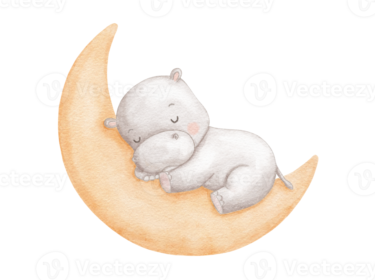 Baby hippo sleeping on moon, watercolor hand draw illustration for kids, woodland animal, painted drawing with isolated background png