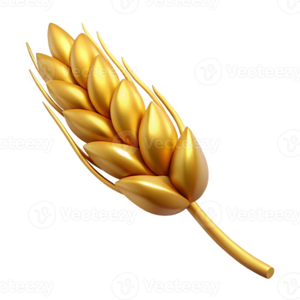elegant classic Wheat Stalk with Golden Color Isolated Cutout genuine png