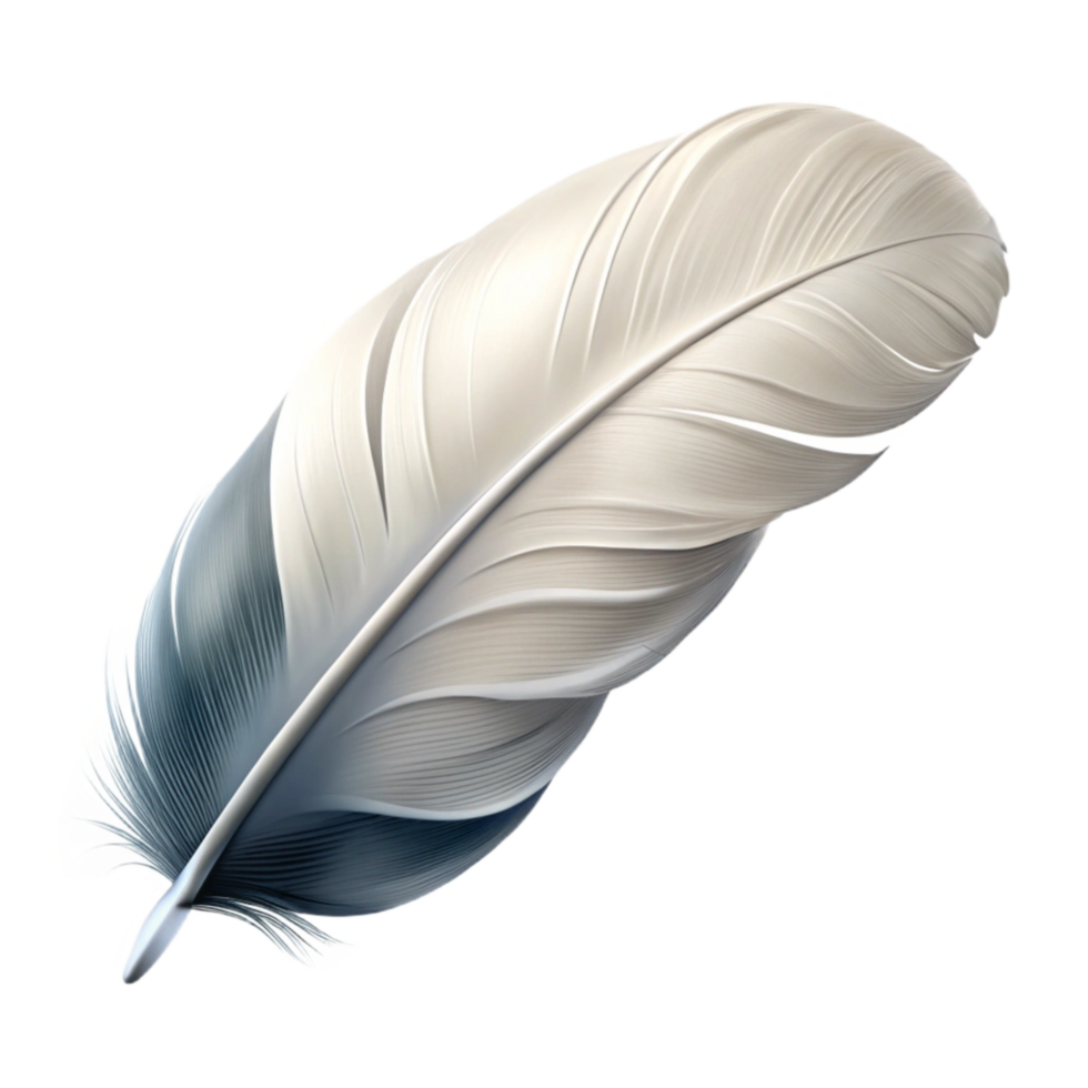 vibrant abstract White Feather Floating Isolated png