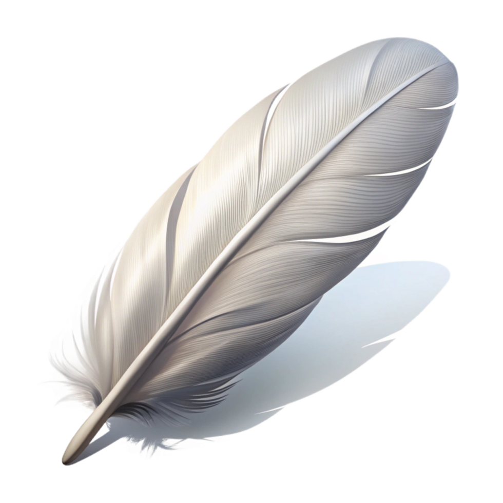 magnificent traditional White Feather with Shadow Isolated detailed png
