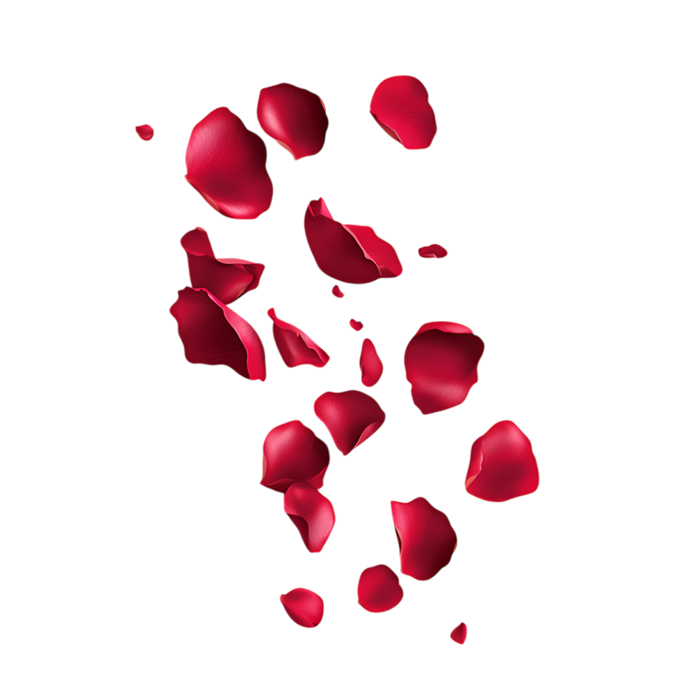 Red rose petals fall png