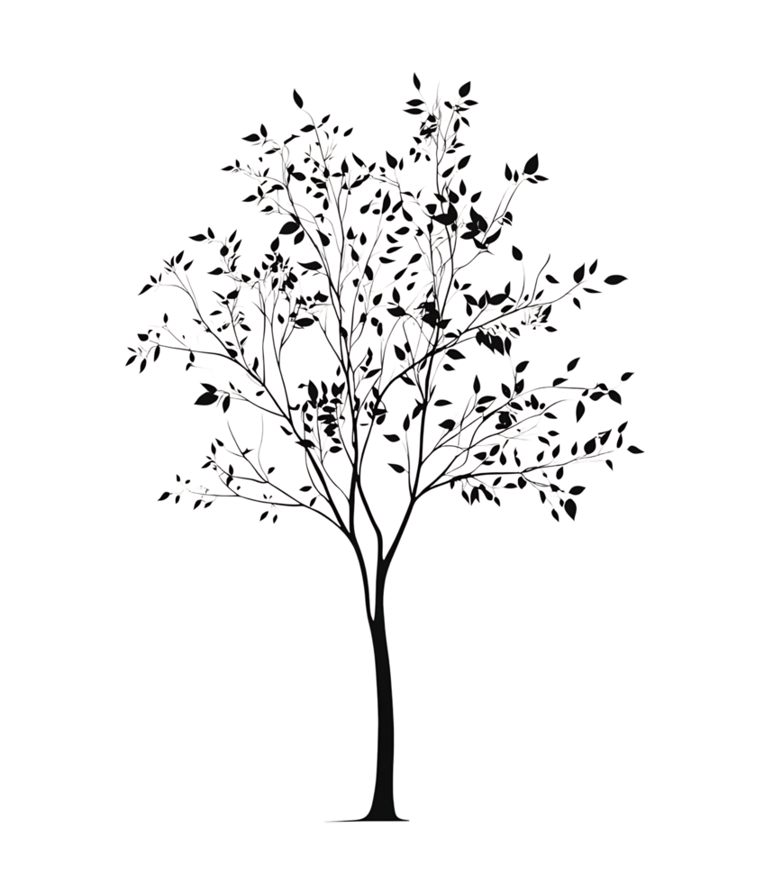Line art drawing of a tree png