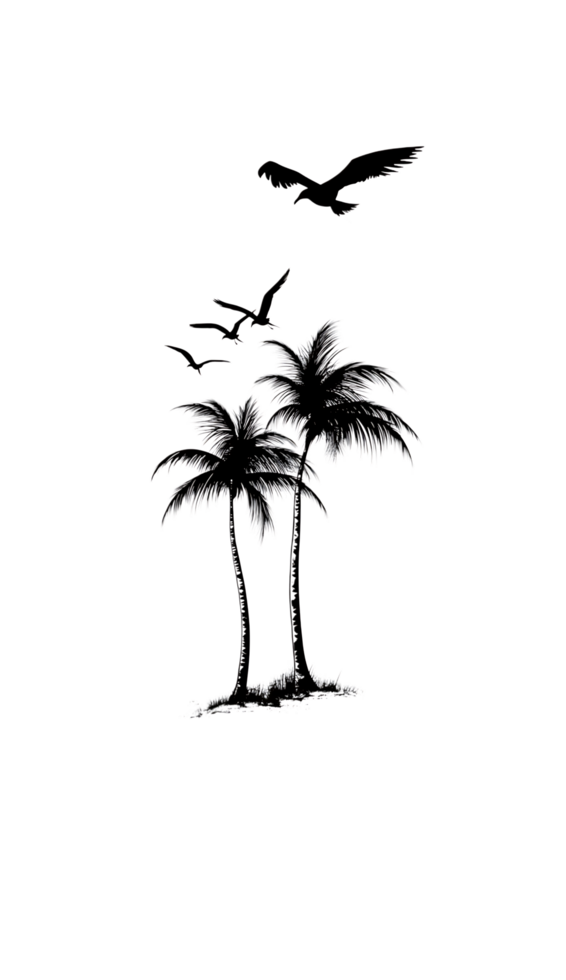 Monochrome palm trees and bird illustration png