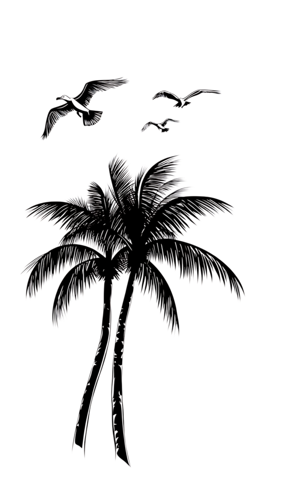 Monochrome palm trees and flying birds. png