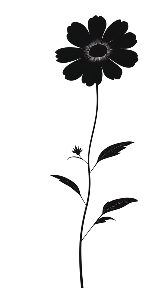 Elegant single flower illustration png