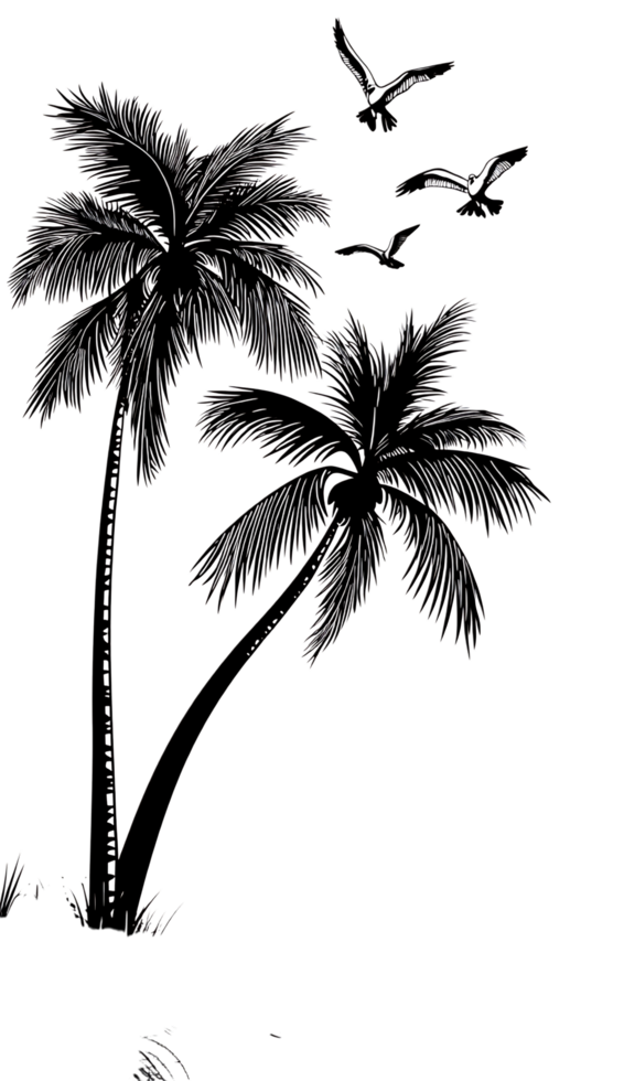Monochrome palm trees and birds illustration png