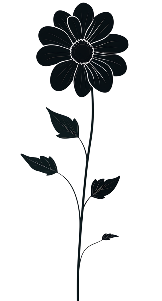 Elegant black flower illustration png