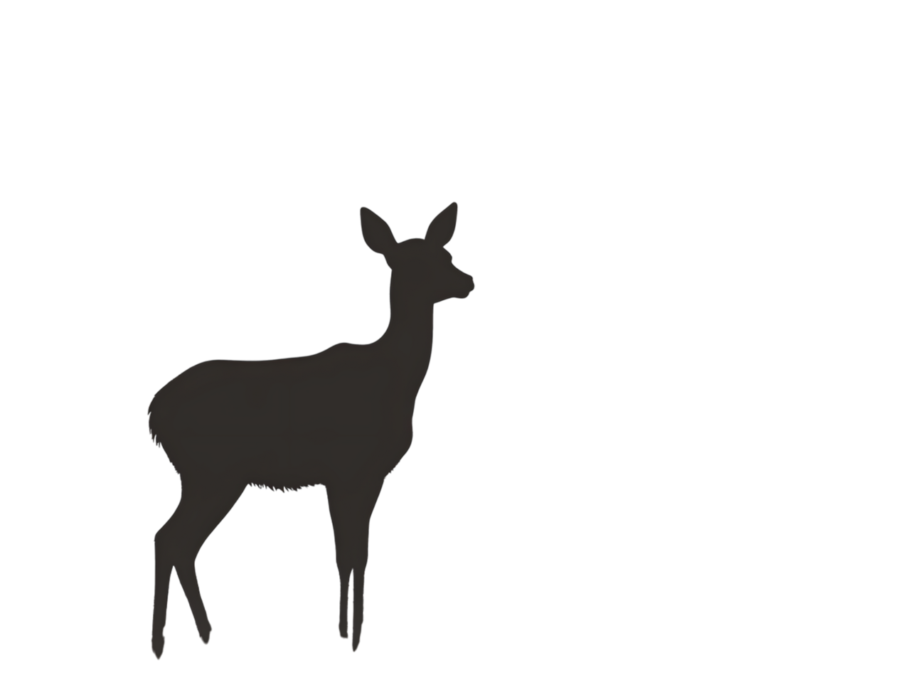 Silhouette of a deer at night. png