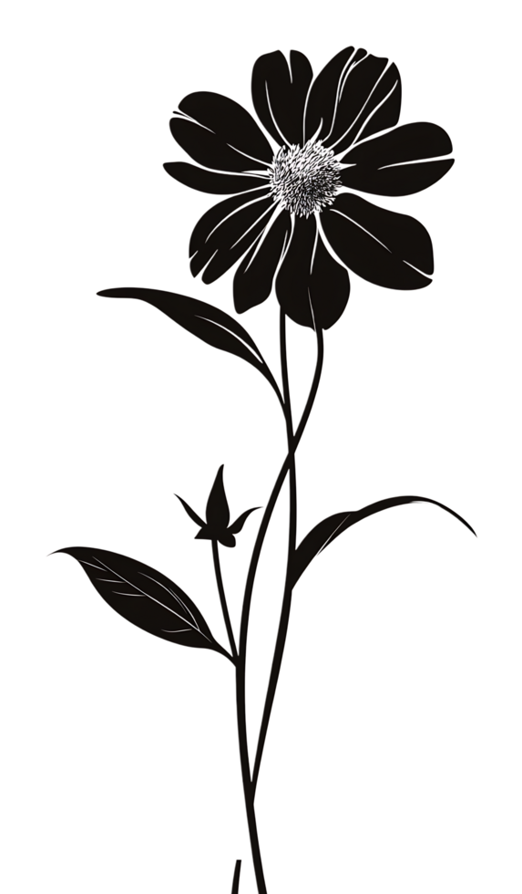 A black and white drawing of a flower png