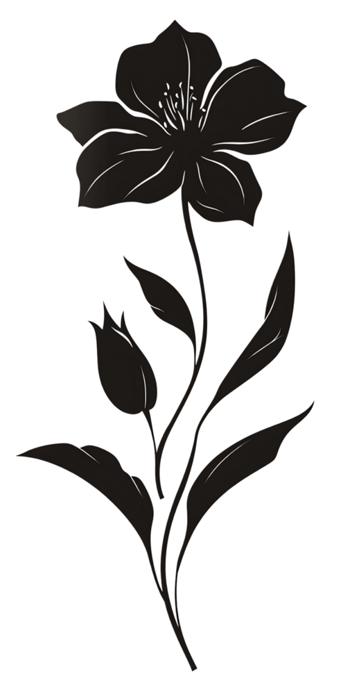 A black and white drawing of a flower png