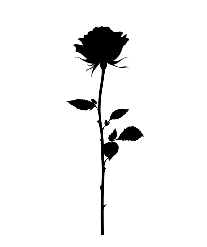 A black and white drawing of a single rose png