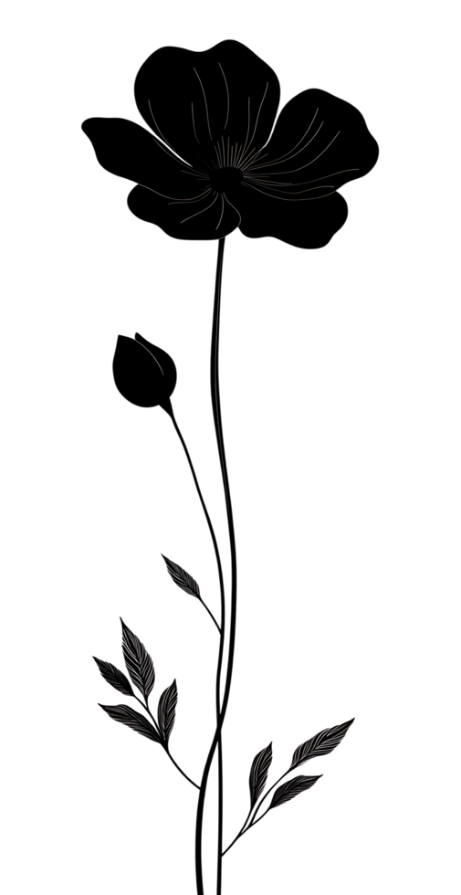 Black and white drawing of a flower png