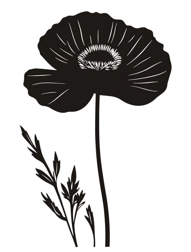 A black and white drawing of a poppy png