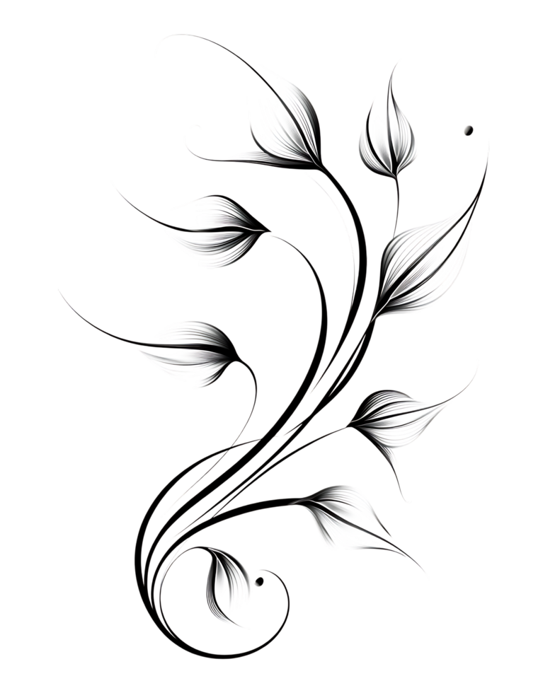 A black and white drawing of a flower png