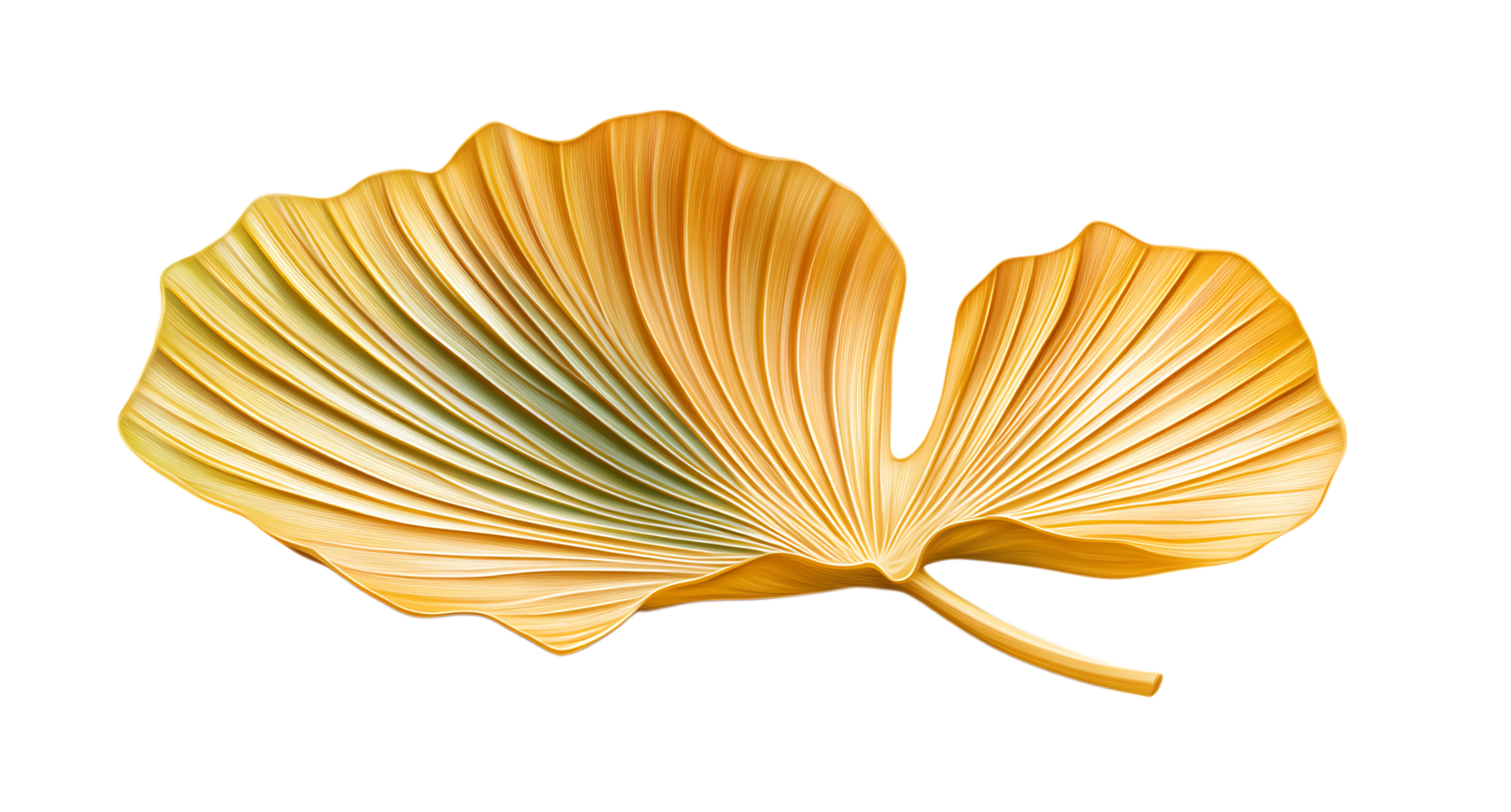 Golden Ginkgo Biloba leaf isolated on black background png