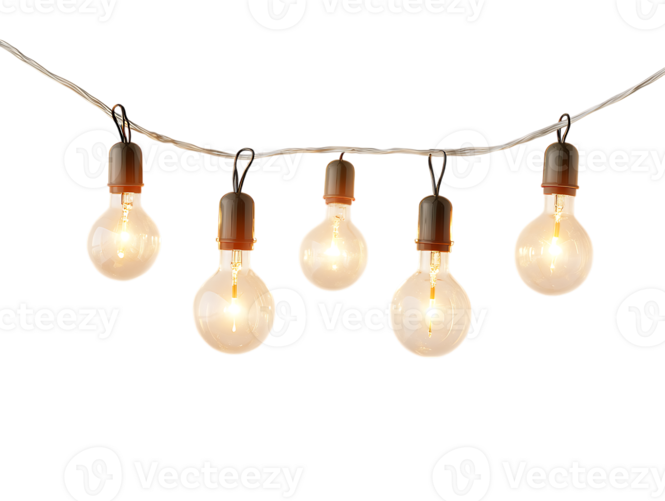 String lights with warm toned bulbs. png