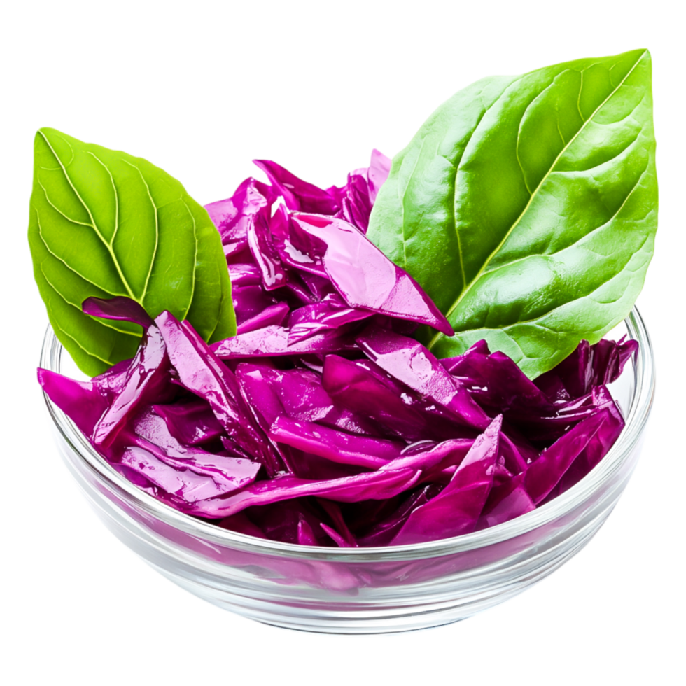 Fresh Purple Cabbage with Green Basil Leaves on png