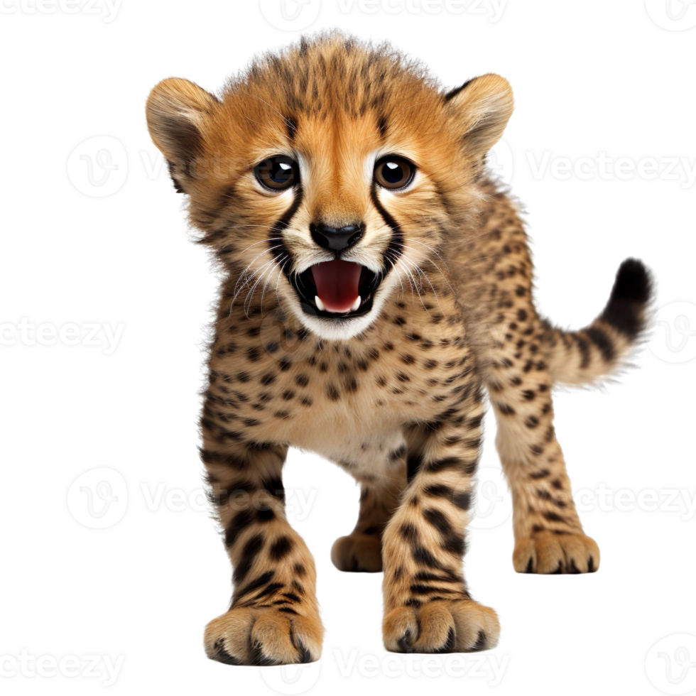 baby cheetah jumping isolated on transparent background png