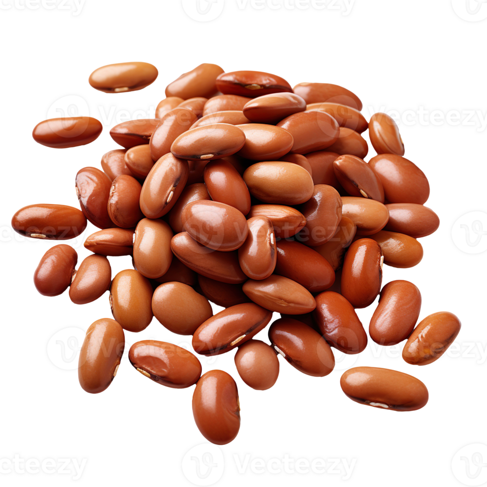 beans isolated on transparent background png