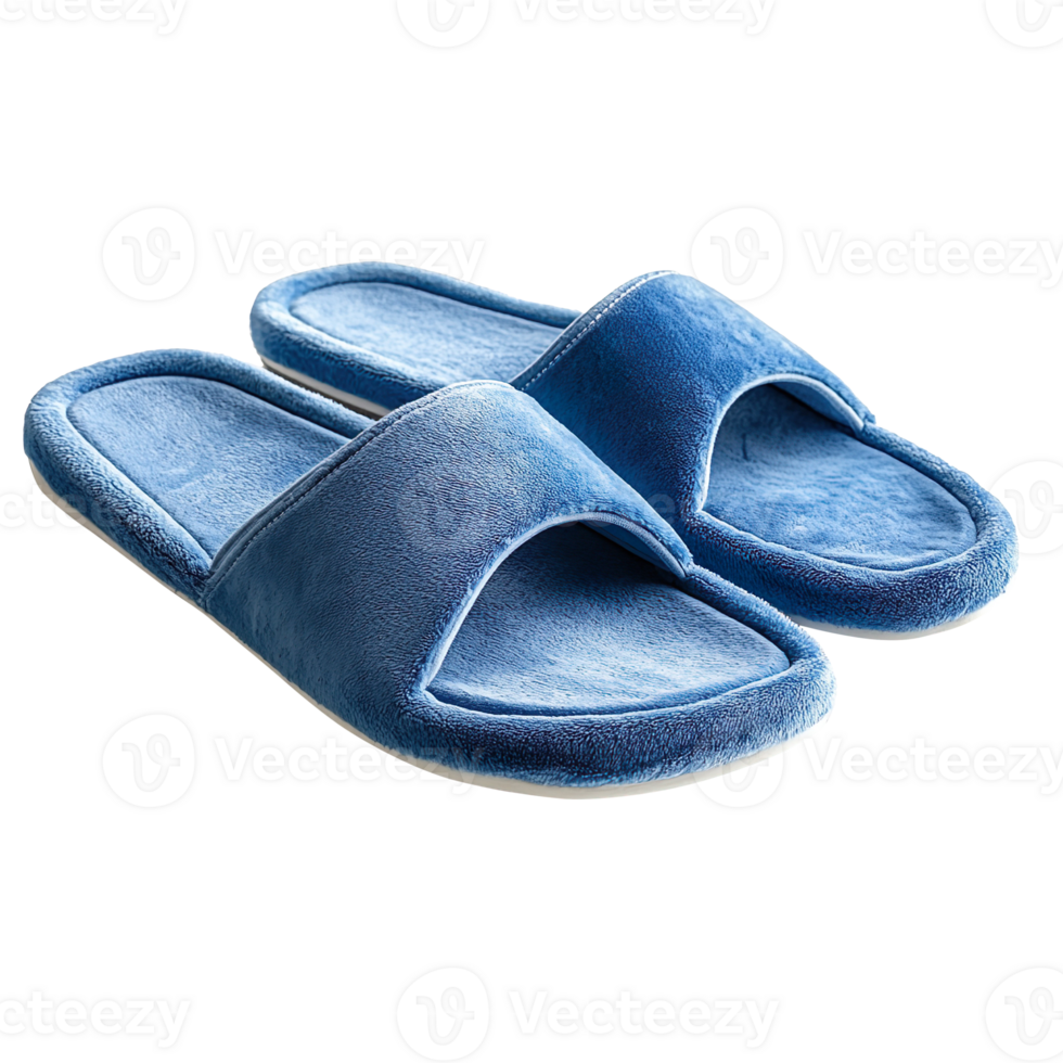Blue slippers isolated on transparent background png