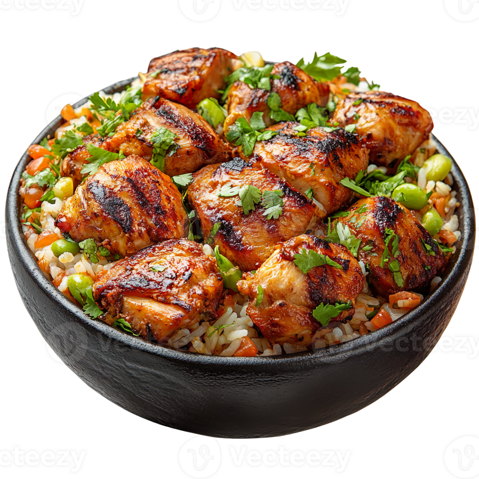 Bowl of delicious chicken kabsa isolated on transparent background png