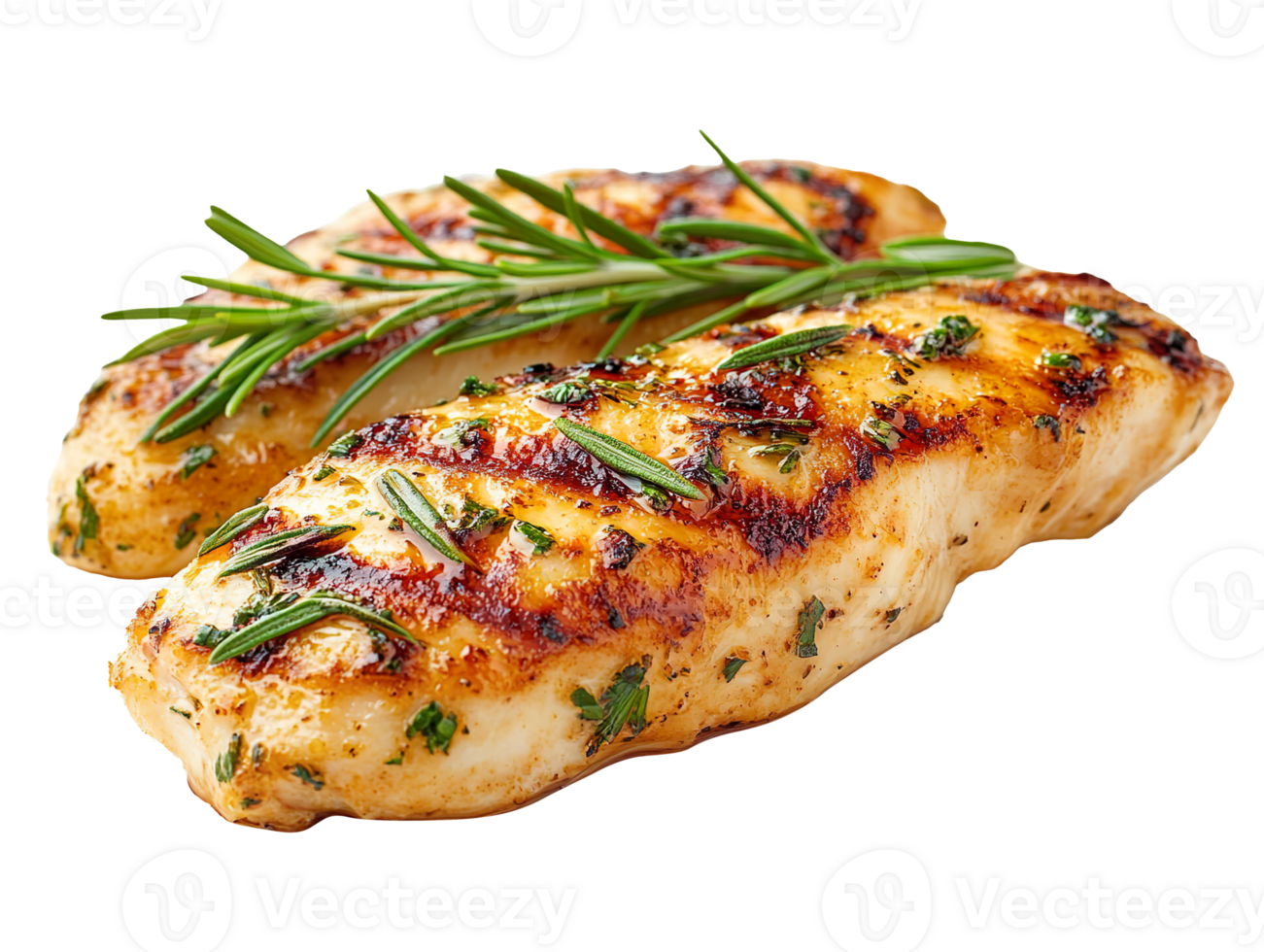 Chicken Tenderloin isolated on transparent background png