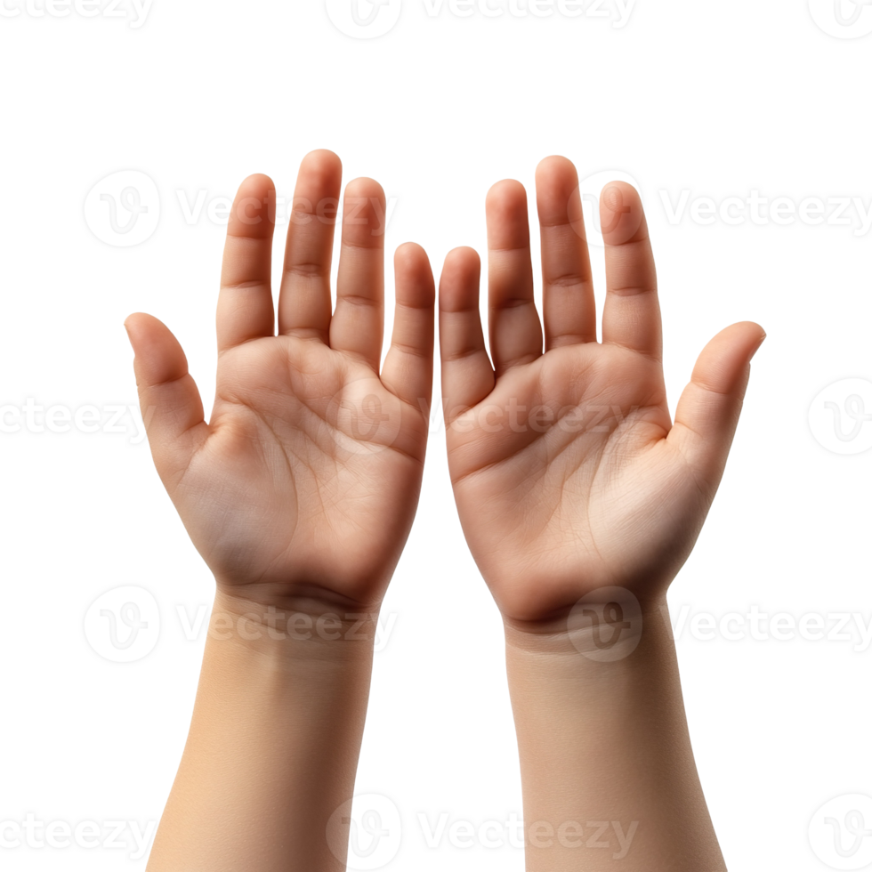 Child hands isolated on transparent background png