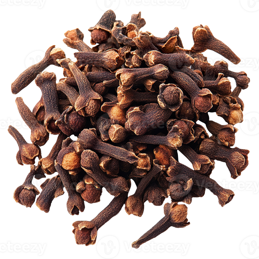 Cloves isolated on transparent background png