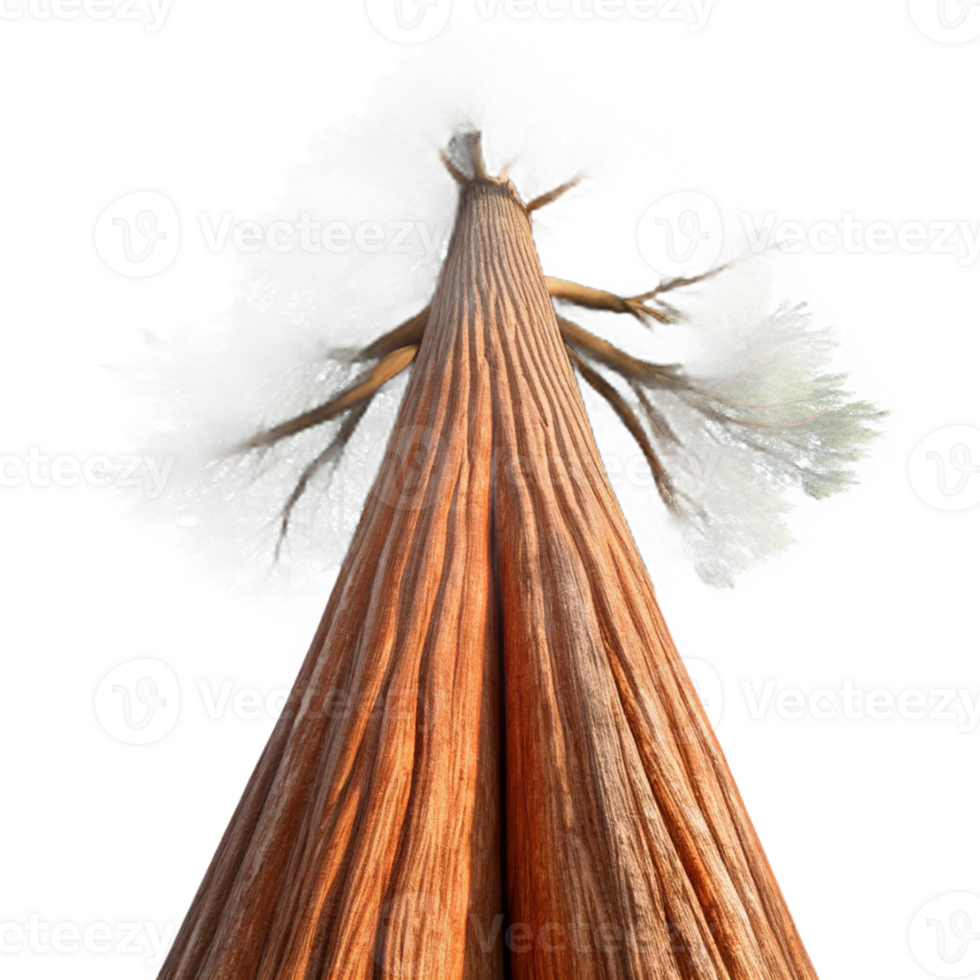 extraordinary abstract A Giant Sequoia Tree Reaching Towards the S detailed png