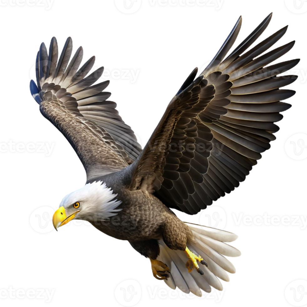 stunning rustic A Majestic Bald Eagle Soaring Through The high resolution png