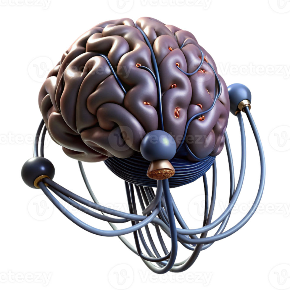 extraordinary creative A Human Brain Connected to a Vast Network professional png