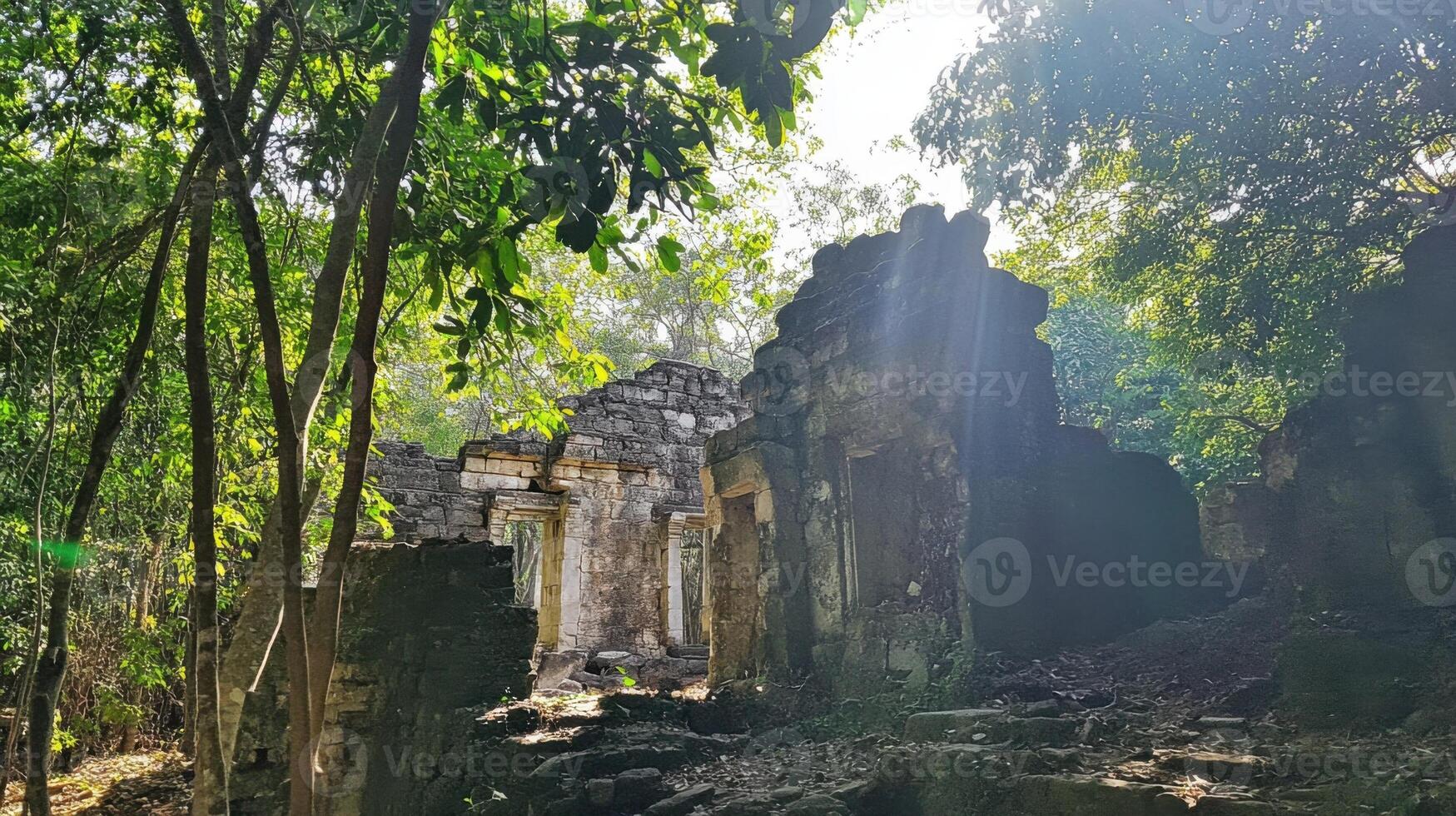 The ruins of an ancient temple in the jungle photo