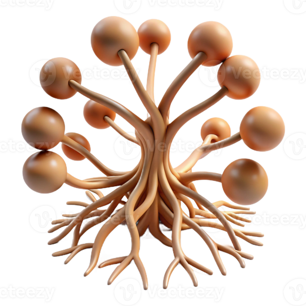 dramatic minimalist A Network of Interconnected Roots Growin exclusive png