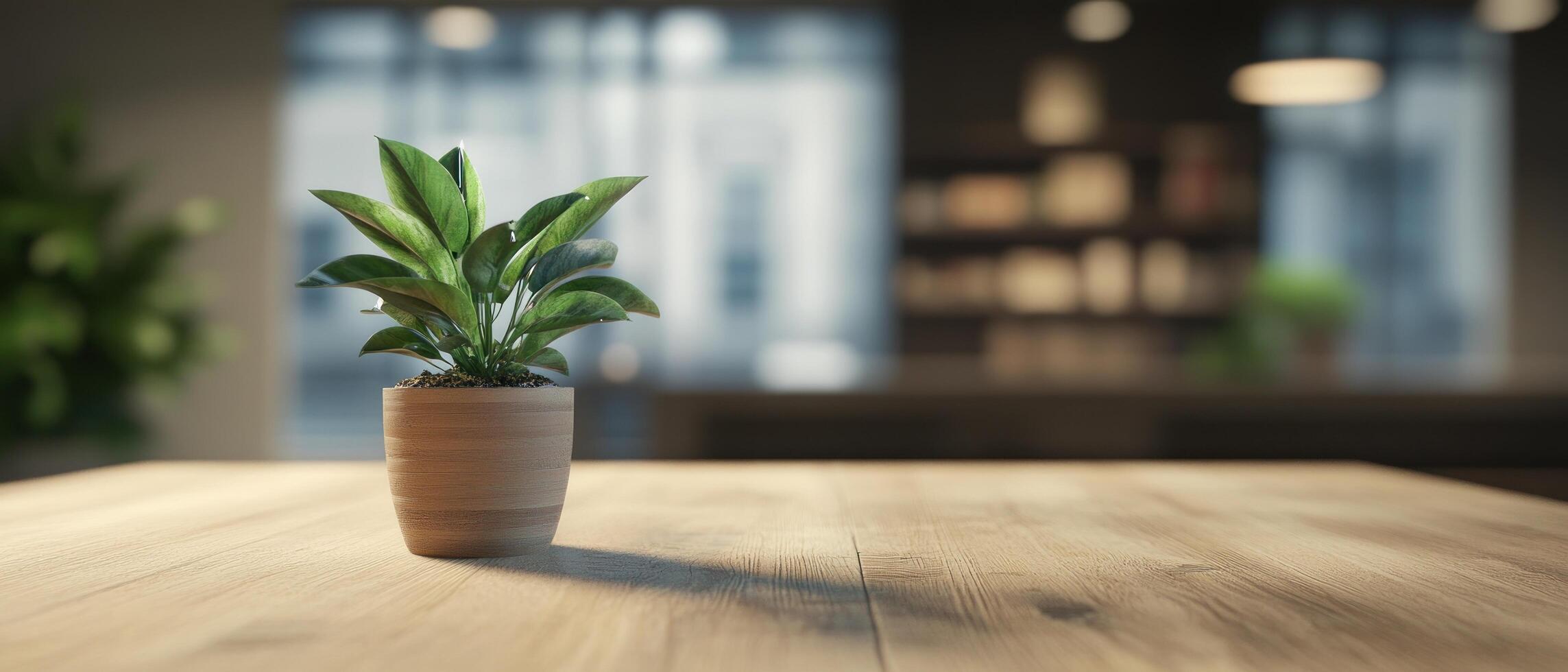 A potted plant on a wooden table in a softly lit interior space. photo