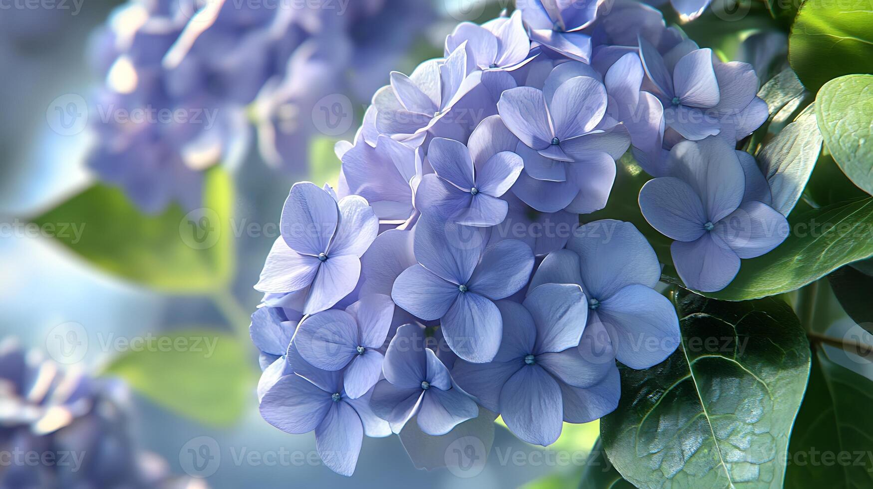 Stunning Flower Close-Up with Green Leaves Enhancing the View photo