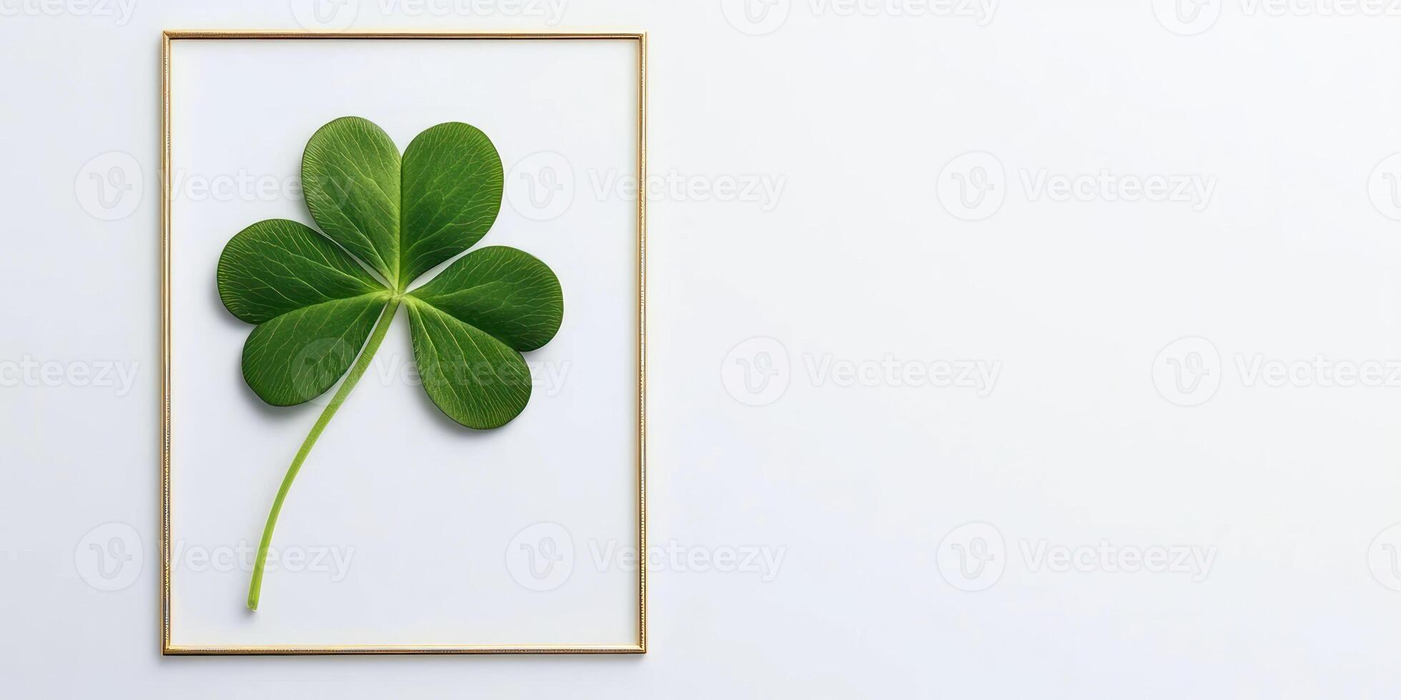 Minimalist St. Patricks day design featuring four leaf clover in gold frame photo