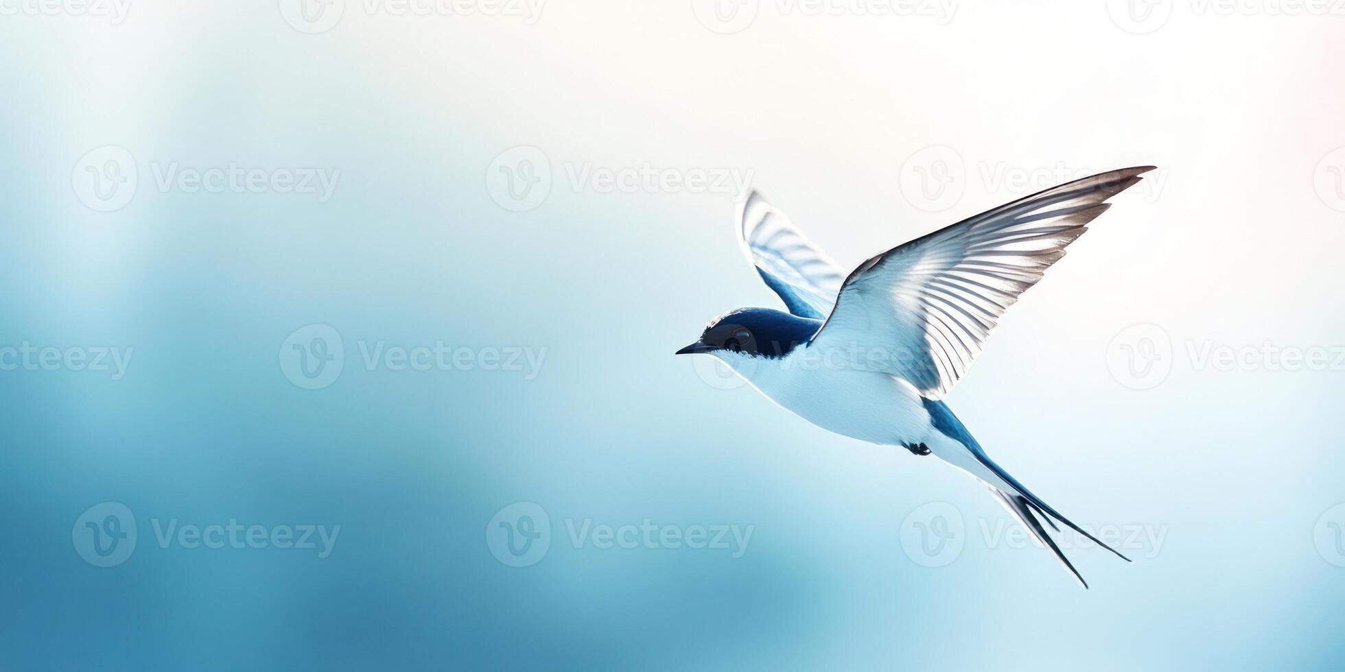 Single swallow soaring gracefully through a bright blue sky photo