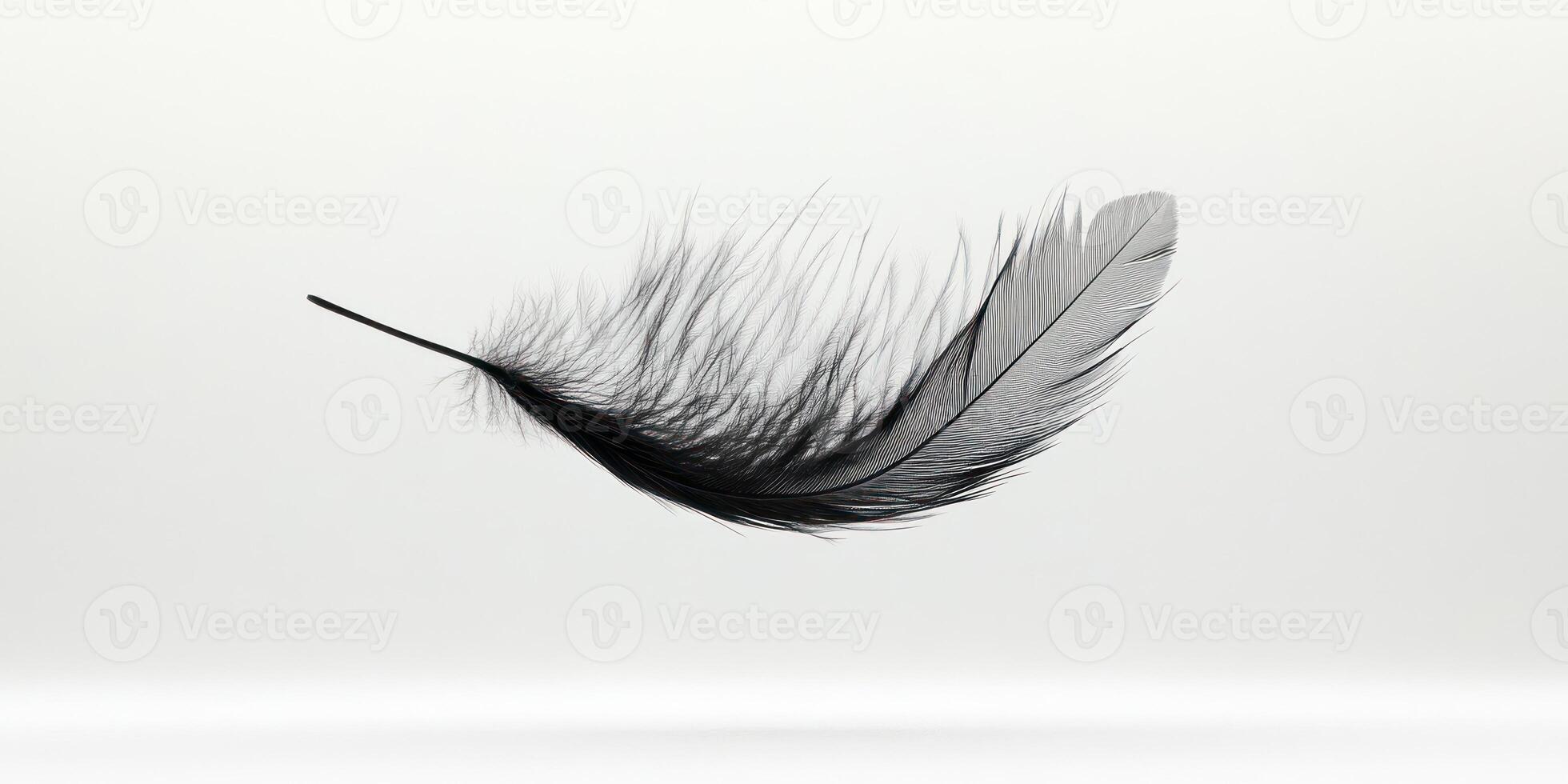Elegant minimalist concept featuring a lone feather for modern design photo