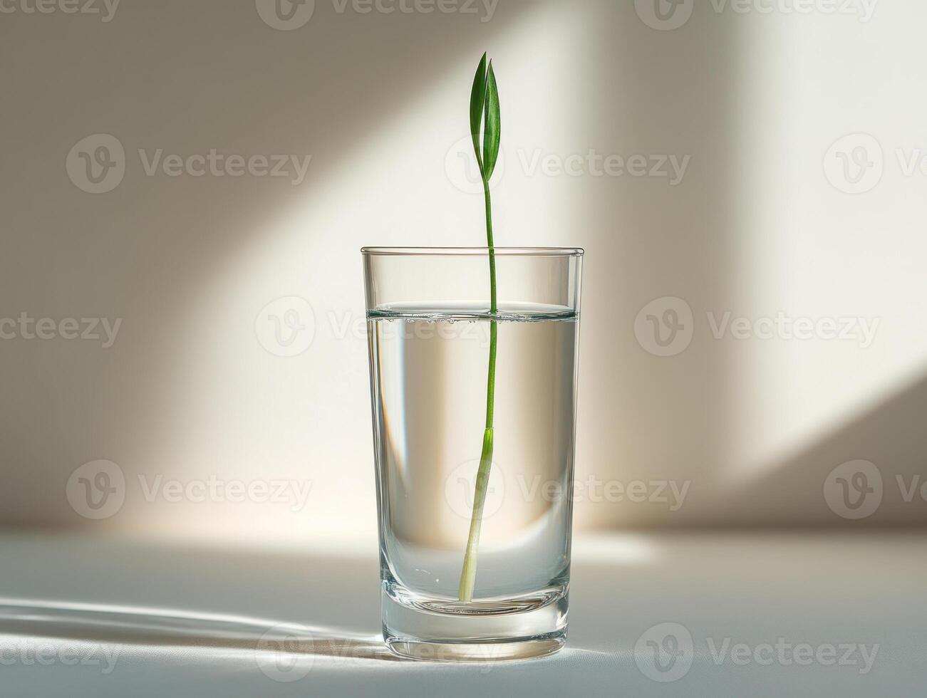 Minimalist still life with tall crystal glass and single green stem for modern decor photo