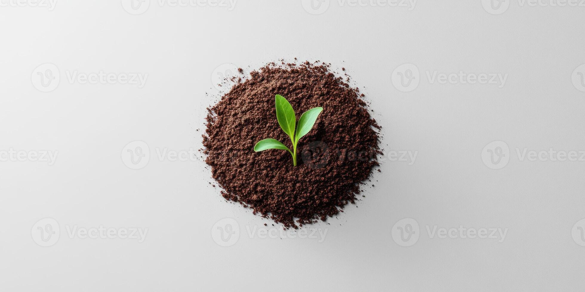 Modern branding mock up featuring a delicate sprout on soil for eco friendly design projects photo