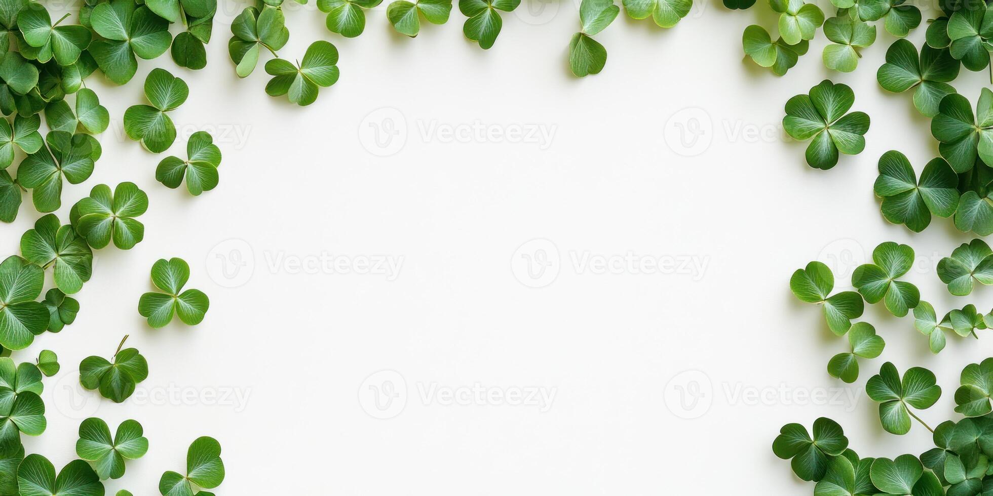 Minimalist clover frame on white background for St. Patricks day designs and decor photo