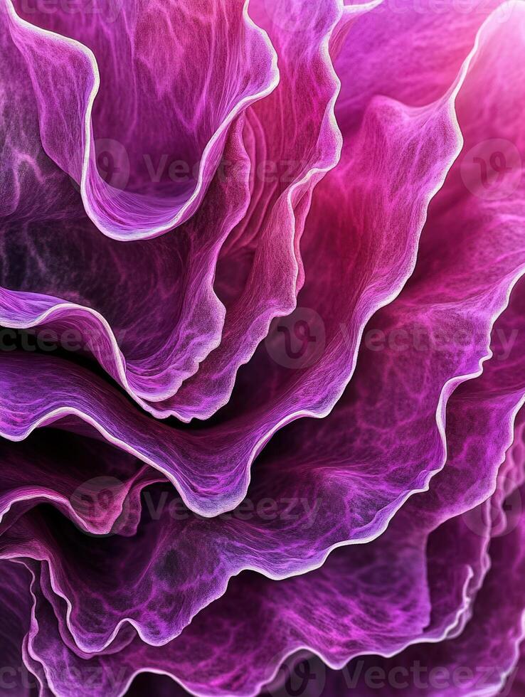 Vibrant peony petal textures in macro shot for artistic design photo