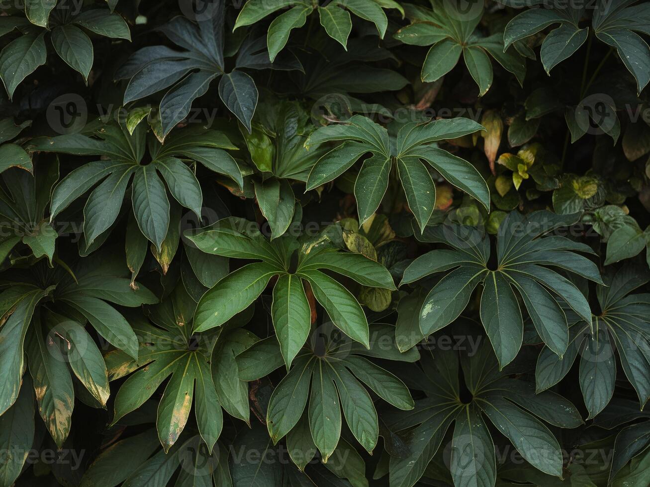 Lush green foliage featuring diverse leaf shapes, creating a vibrant, natural backdrop. photo