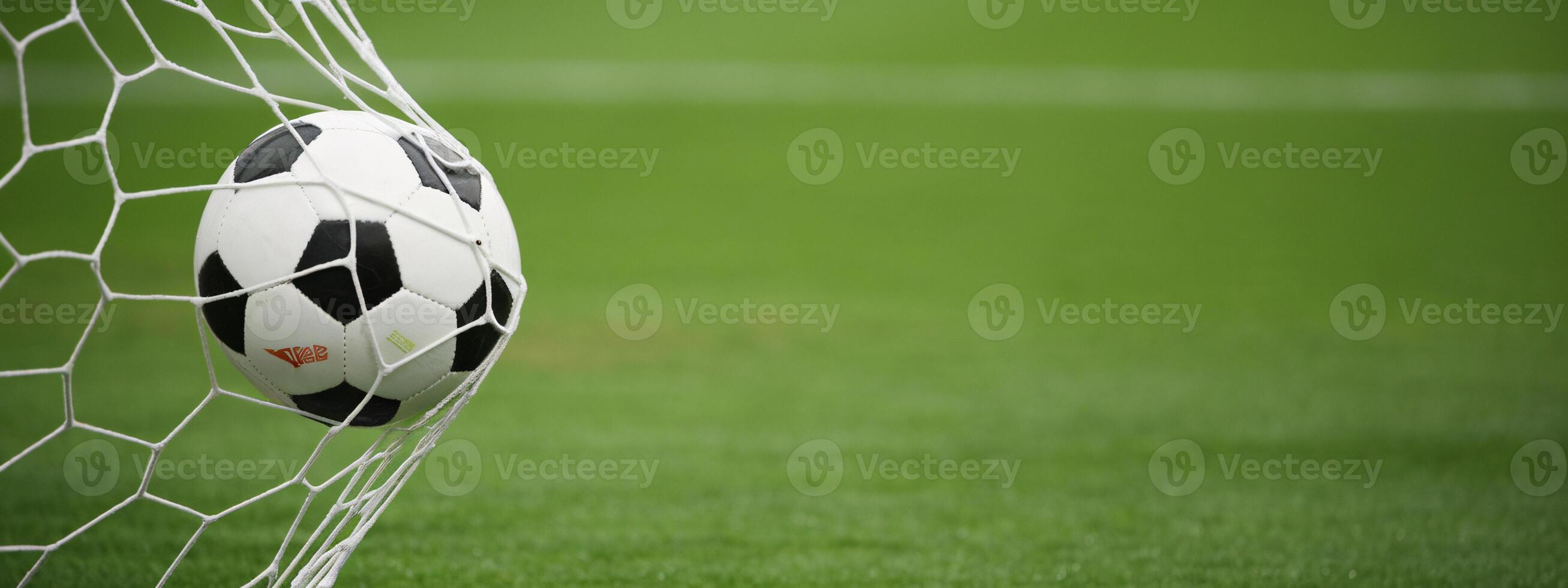 A soccer ball is sitting in the goal net photo