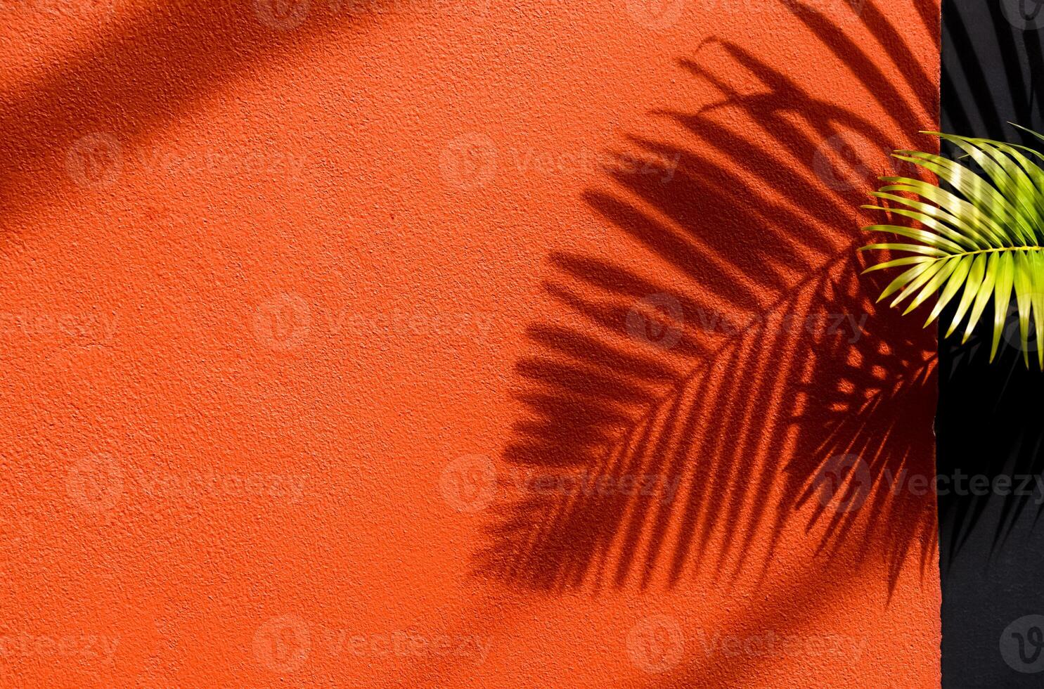 Orange background with Tropical palm leaf shadow, light overlay on concrete wall texture for Product display.Natural leave silhouette on architecture exterior aesthetic. Creative boho summer vibes photo